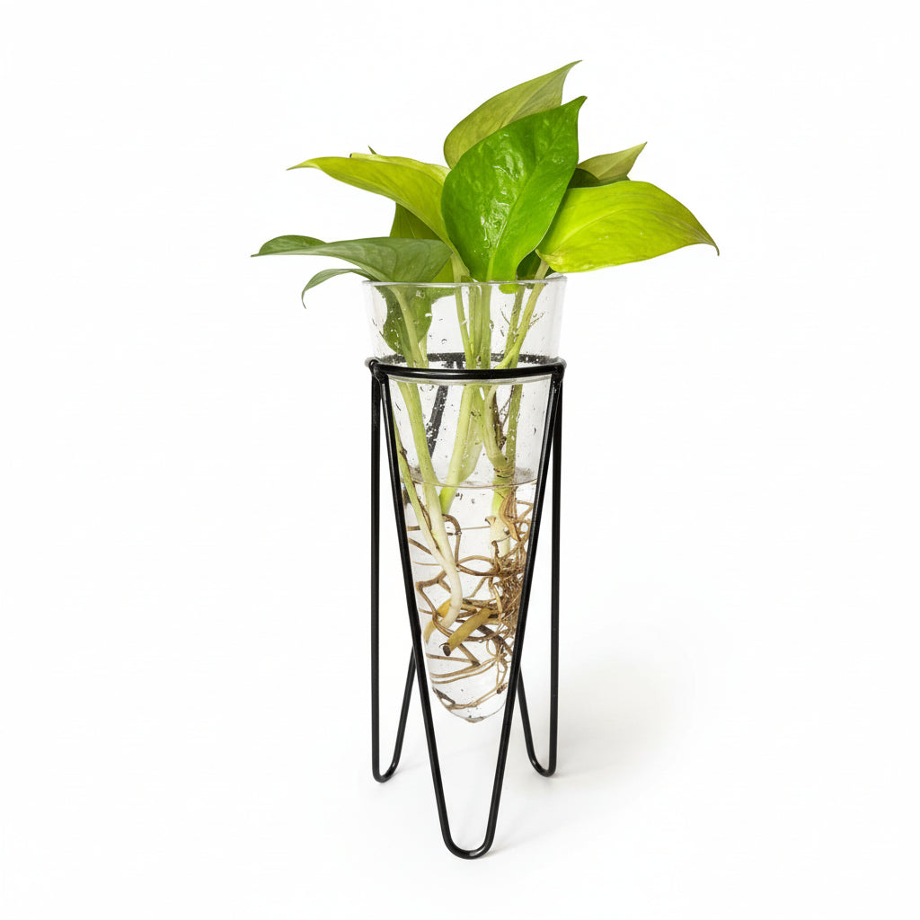 Cone Hydroponic Planter