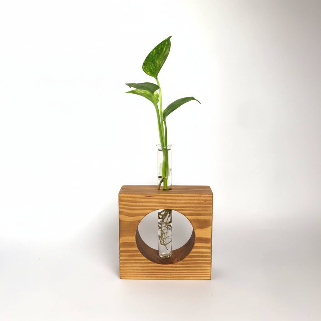 Full Moon Hydroponic Planter